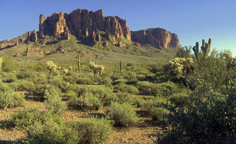 3088 W Windsong St, Apache Junction, AZ 85120 photo 39