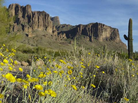 3088 W Windsong St, Apache Junction, AZ 85120 photo 38