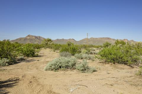 3088 W Windsong St, Apache Junction, AZ 85120 photo 9