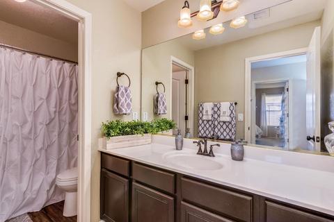3928 E Baranca Rd, Gilbert, AZ 85297 photo 18