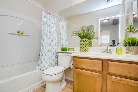 10056 E Isleta Ave, Mesa, AZ 85209 photo 10