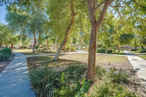 10056 E Isleta Ave, Mesa, AZ 85209 photo 43
