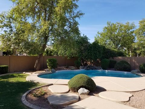 4495 E Olive Ave, Gilbert, AZ 85234 photo 5