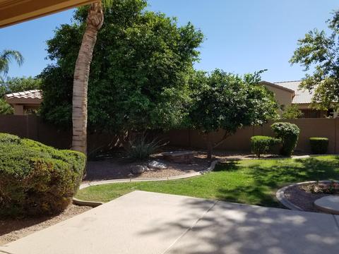 4495 E Olive Ave, Gilbert, AZ 85234 photo 4