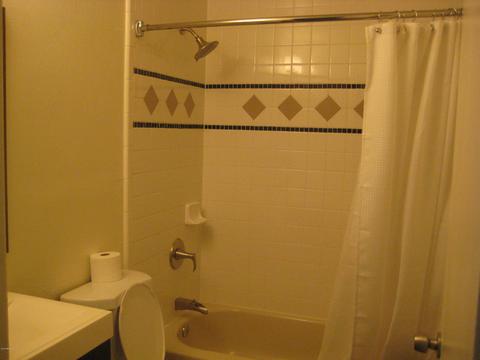 721 E Huber St, Mesa, AZ 85203 photo 7