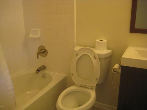 721 E Huber St, Mesa, AZ 85203 photo 6