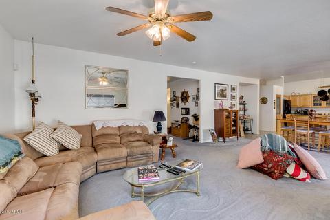 10512 E Diamond Ave, Mesa, AZ 85208 photo 20