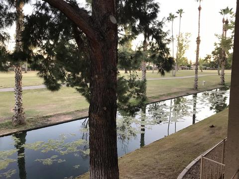2524 S El Paradiso Dr #23, Mesa, AZ 85202 photo 5