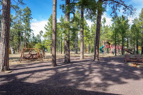 2700 Hooks Way, Overgaard, AZ 85933 photo 5