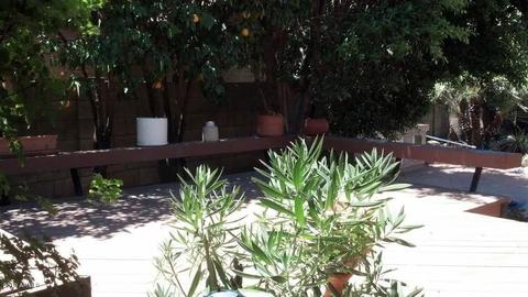 11614 N 22nd St, Phoenix, AZ 85028 photo 7