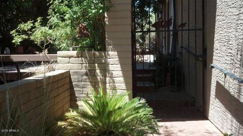 11614 N 22nd St, Phoenix, AZ 85028 photo 5