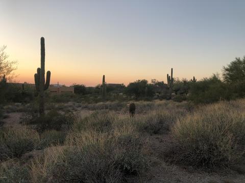 8540 E Mcdowell Rd #83, Mesa, AZ 85207 photo 3