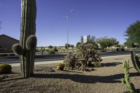 11404 E Nell Ave, Mesa, AZ 85209 photo 28