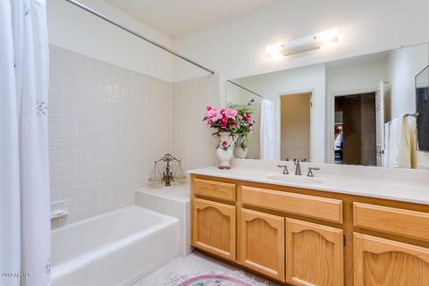 10409 E Lambert Dr, Sun Lakes, AZ 85248 photo 37