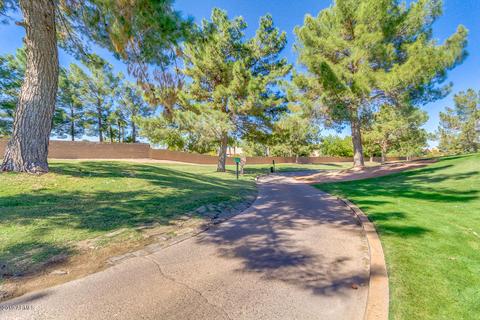 10409 E Lambert Dr, Sun Lakes, AZ 85248 photo 49