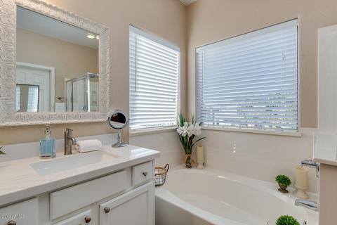 10718 E Pantera Ave, Mesa, AZ 85212 photo 36