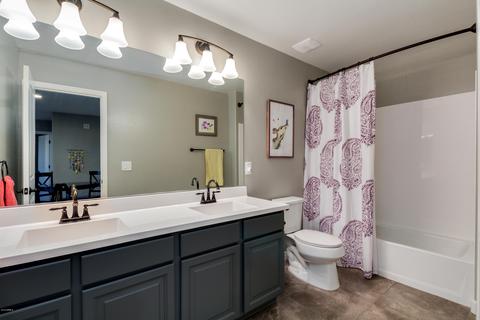 3625 E Branham Ln, Phoenix, AZ 85042 photo 29