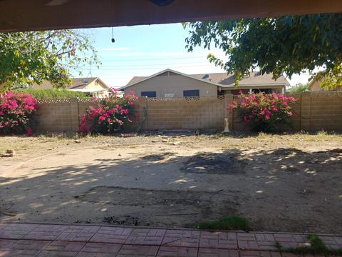 3145 W Libby St, Phoenix, AZ 85053 photo 5