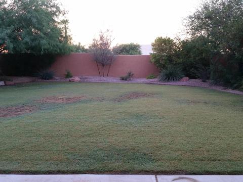 15067 S 40th Pl S, Phoenix, AZ 85044 photo 19