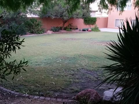 15067 S 40th Pl S, Phoenix, AZ 85044 photo 21