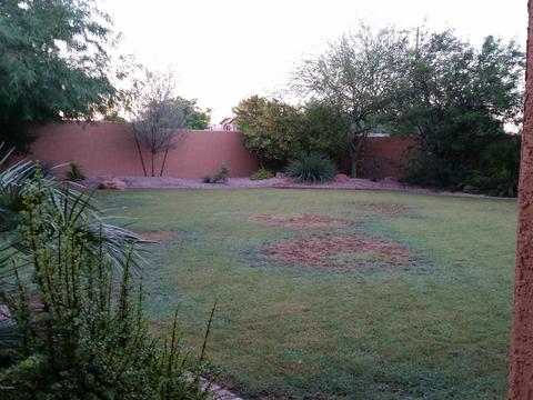 15067 S 40th Pl S, Phoenix, AZ 85044 photo 18