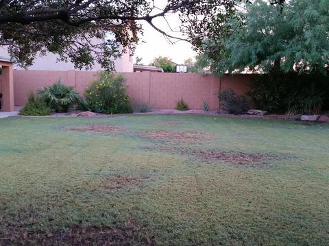15067 S 40th Pl S, Phoenix, AZ 85044 photo 24