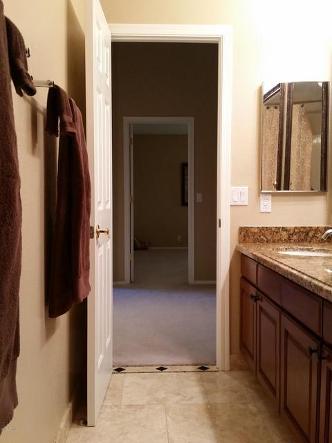 15067 S 40th Pl S, Phoenix, AZ 85044 photo 214