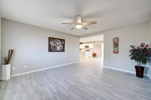 707 E Peppertree Ave, Apache Junction, AZ 85119 photo 4