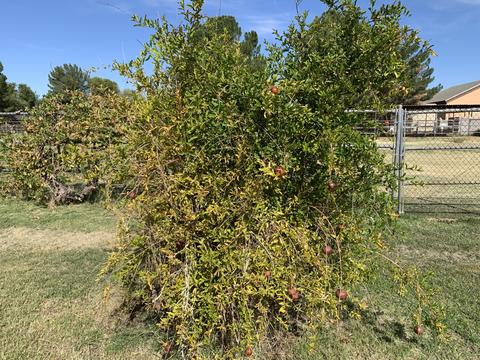 2804 E Gemini St, Gilbert, AZ 85234 photo 72