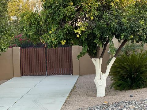 4467 E Ford Ave, Gilbert, AZ 85234 photo 12