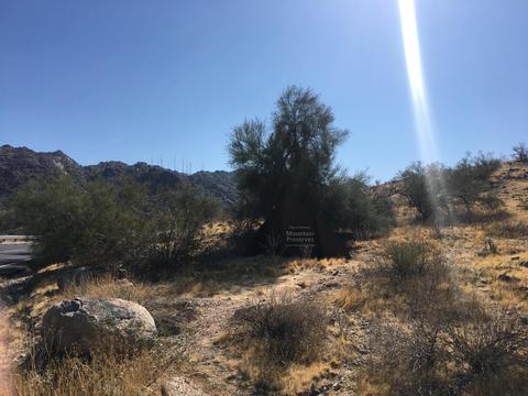 518 E Pearce Rd, Phoenix, AZ 85042 photo 53