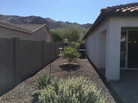 518 E Pearce Rd, Phoenix, AZ 85042 photo 47