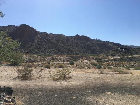 518 E Pearce Rd, Phoenix, AZ 85042 photo 27
