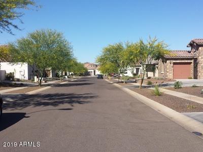 518 E Pearce Rd, Phoenix, AZ 85042 photo 4