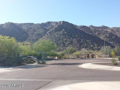 518 E Pearce Rd, Phoenix, AZ 85042 photo 3
