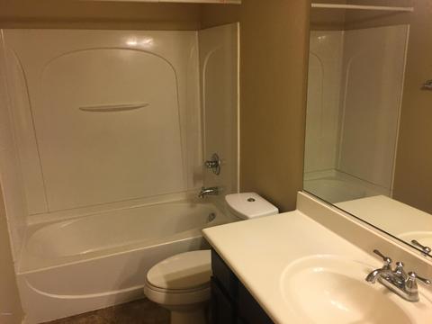 518 E Pearce Rd, Phoenix, AZ 85042 photo 29