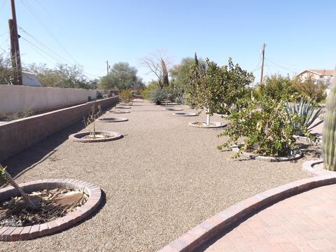 453 N Ocotillo Dr, Apache Junction, AZ 85120 photo 15