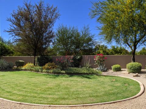 3639 E Louise Dr, Phoenix, AZ 85050 photo 4