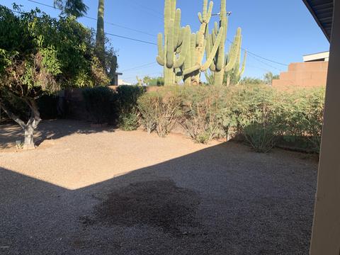 5232 E Butte St, Mesa, AZ 85205 photo 40