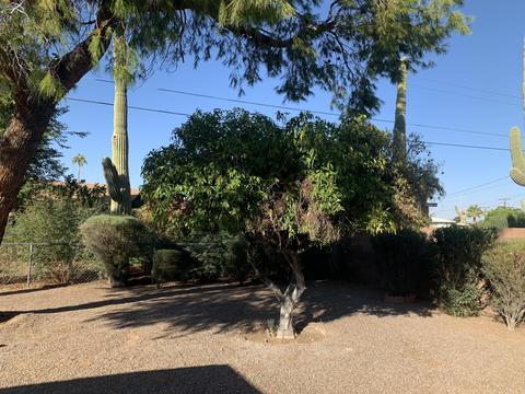 5232 E Butte St, Mesa, AZ 85205 photo 39