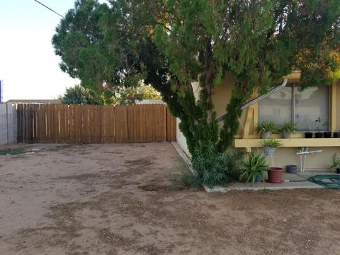 4021 E Acoma Dr, Phoenix, AZ 85032 photo 3