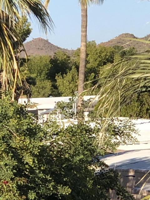 826 E Sack Dr, Phoenix, AZ 85024 photo 23