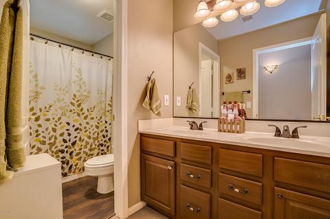 970 E Liberty Ln, Gilbert, AZ 85296 photo 22