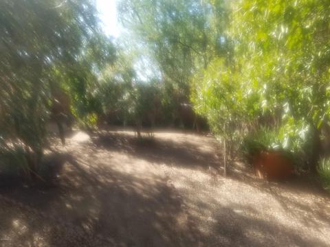 6726 N 31st Dr, Phoenix, AZ 85017 photo 19
