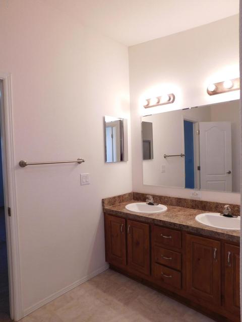 1432 E 22nd Ave, Apache Junction, AZ 85119 photo 39