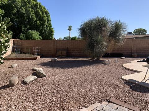 1444 E Flossmoor Ave, Mesa, AZ 85204 photo 19