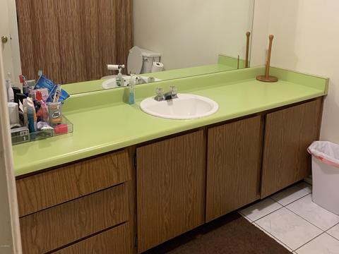 1444 E Flossmoor Ave, Mesa, AZ 85204 photo 15