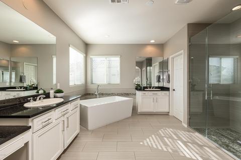 3829 E Patrick Ln, Phoenix, AZ 85050 photo 48