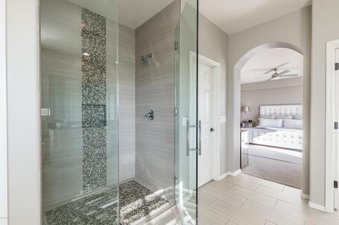 3829 E Patrick Ln, Phoenix, AZ 85050 photo 49
