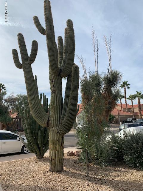 1534 E Campbell Ave, Gilbert, AZ 85234 photo 45
